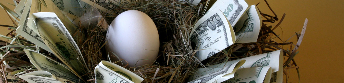 Our Job is to Help You to Keep More of Your Nest Egg!